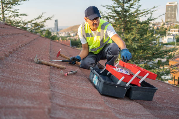 Best Fiber Cement Siding Installation  in Murray, UT