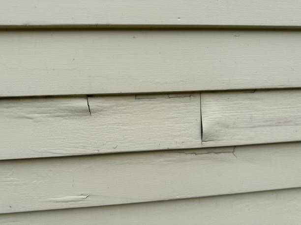 Best Insulated Siding Installation  in Murray, UT